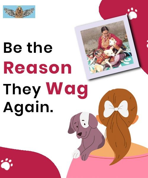 Mobile Banner