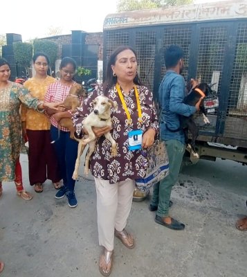 Health Camp