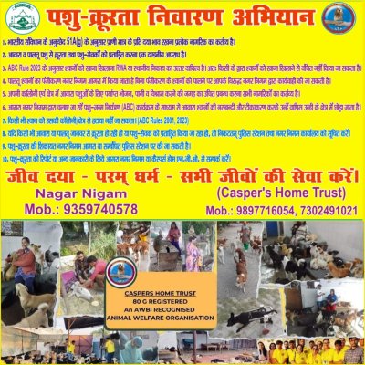 Health Camp