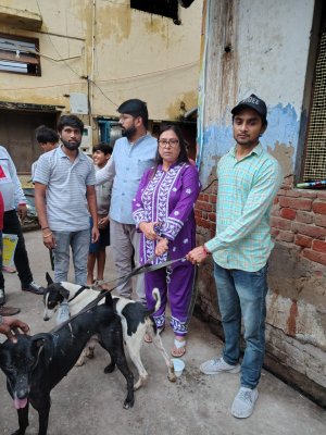 Health Camp