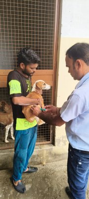 Health Camp