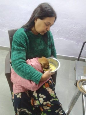 Health Camp